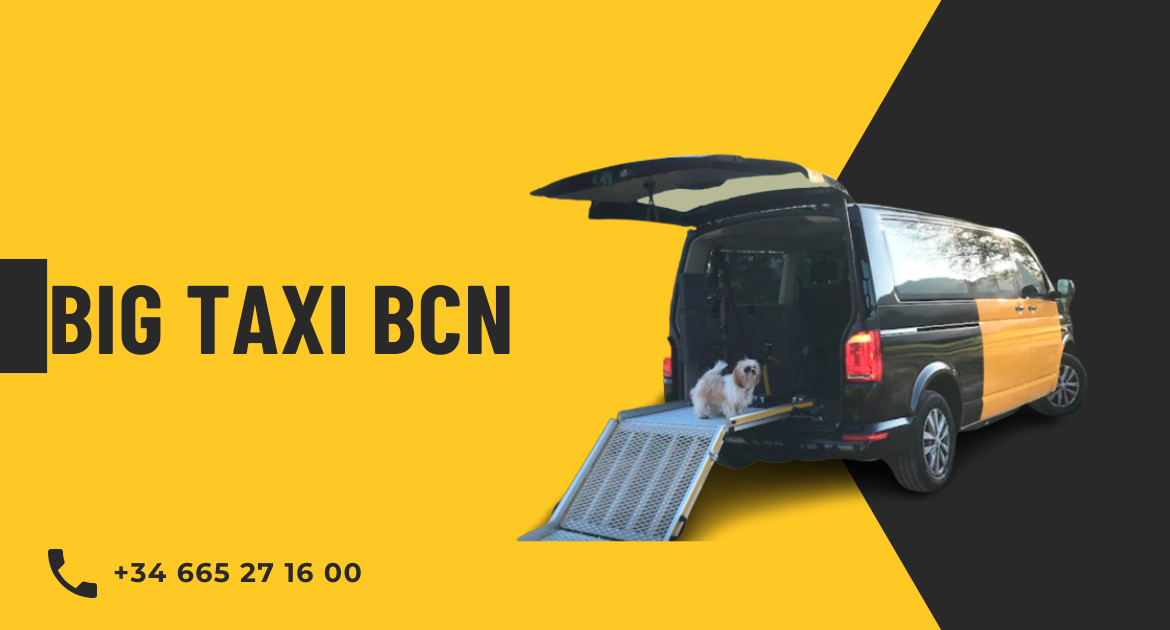 Cab adapted by Big Taxi Bcn