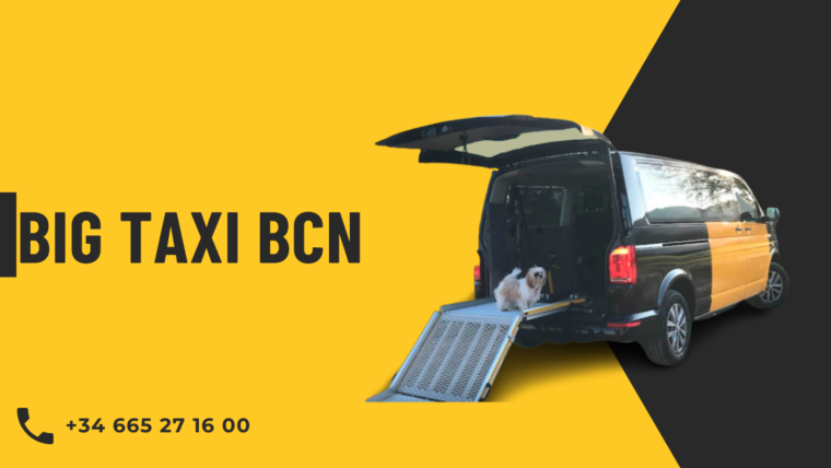 Taxi adaptado de Big Taxi Bcn
